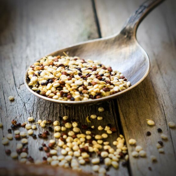 mesepices-format-condiments-graines